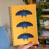 Pipevine Swallowtail Notebook