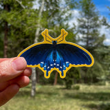 Pipevine Swallowtail Sticker